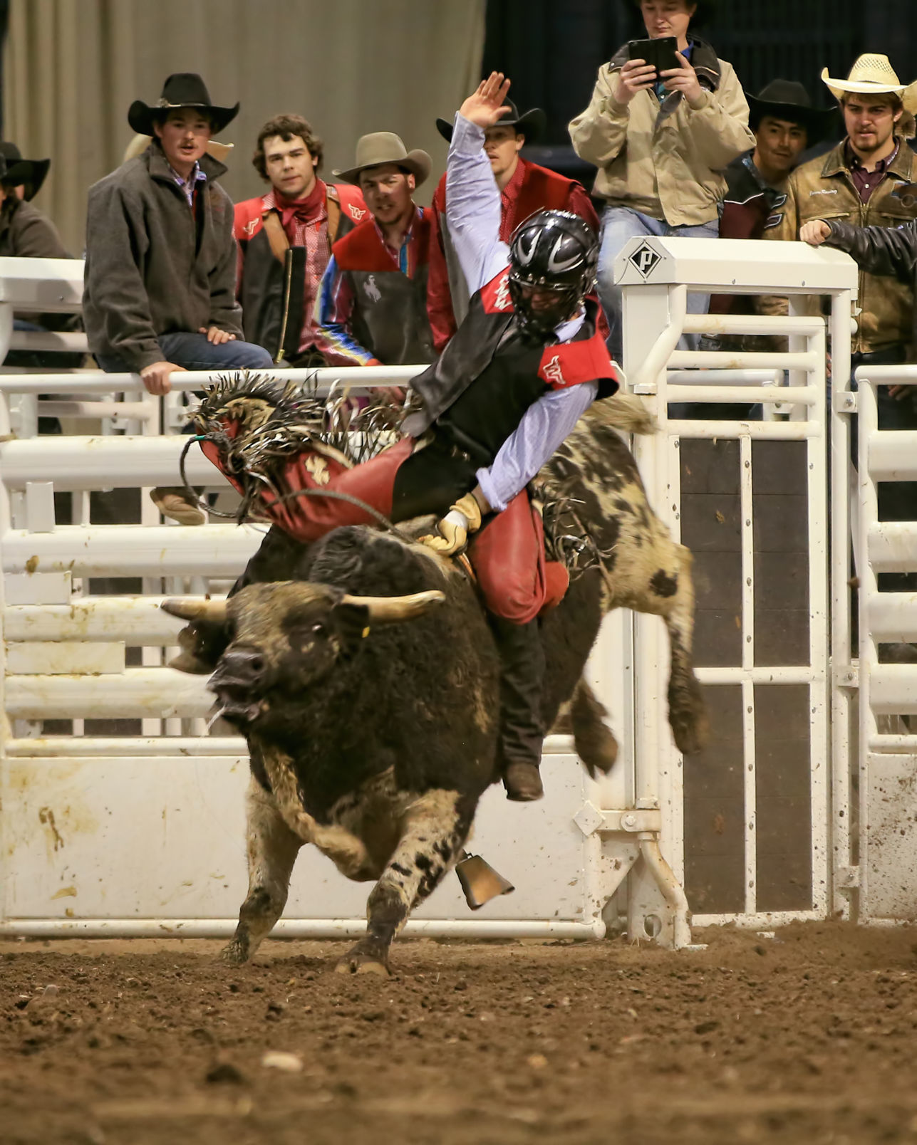 MSU Rodeo - Western's Piva
